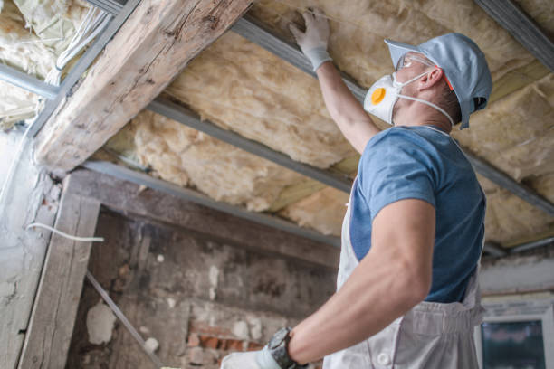 Best Best Insulation Companies  in Garden View, PA