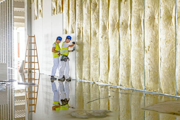 Insulation Replacement Services in Garden View, PA